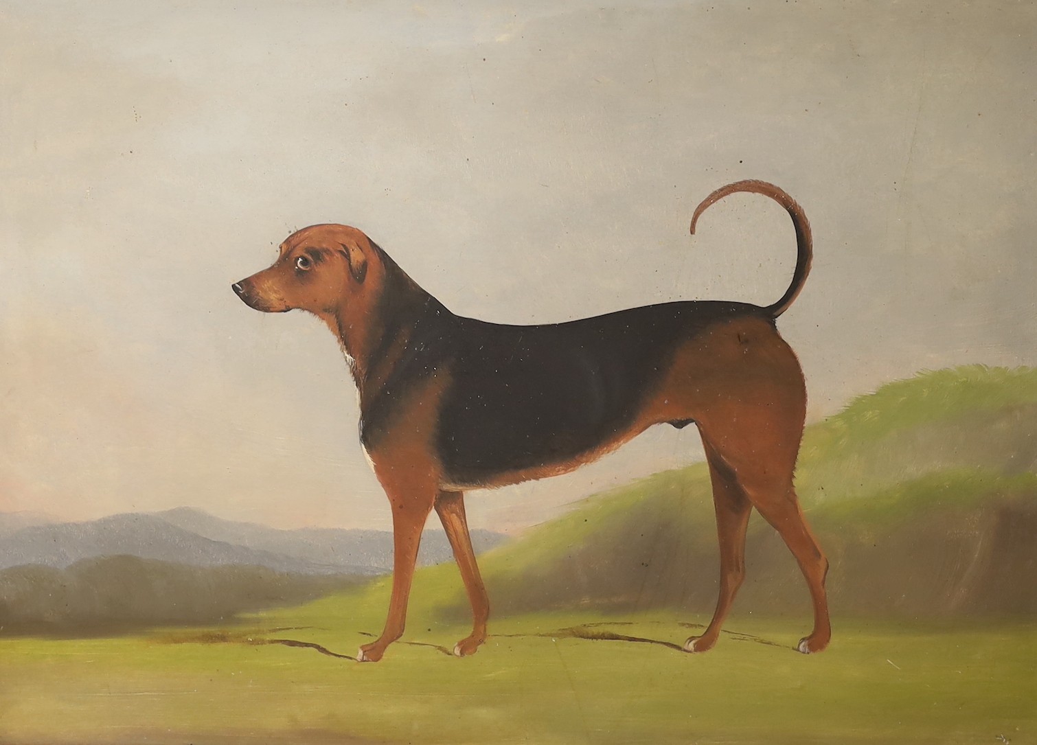 Joseph Benstead (19thC), oil on card, Primitive portrait of a hound 'Shonto', signed and dated June 1849 verso, 44 x 60cm